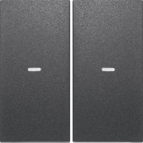 Berker 80960385 Abdeckung für Tastsensor-Modul 2fach mit Linse S.1/B.x anthrazit. matt