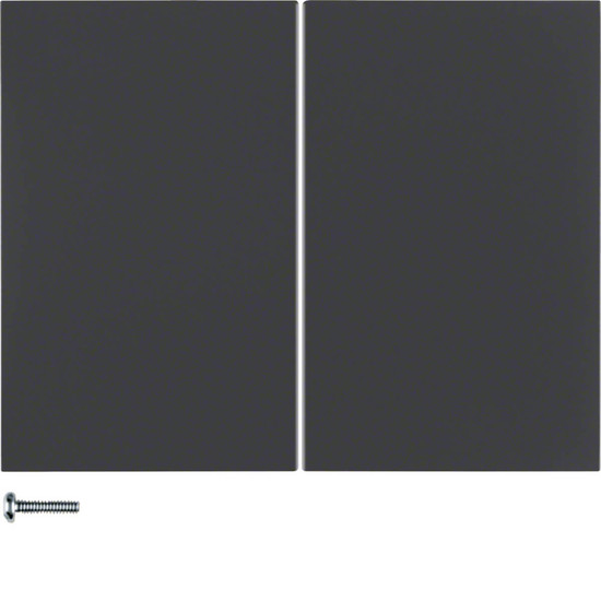 Berker 85142175 Taste 2fach K.1 anthrazit. matt