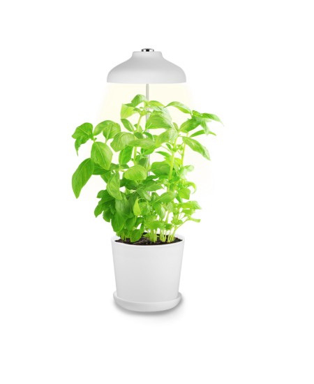 Bioledex GoLeaf TOP5 LED Pflanzenleuchte Vollspektrum 5W USB Pflanzenbeleuchtung