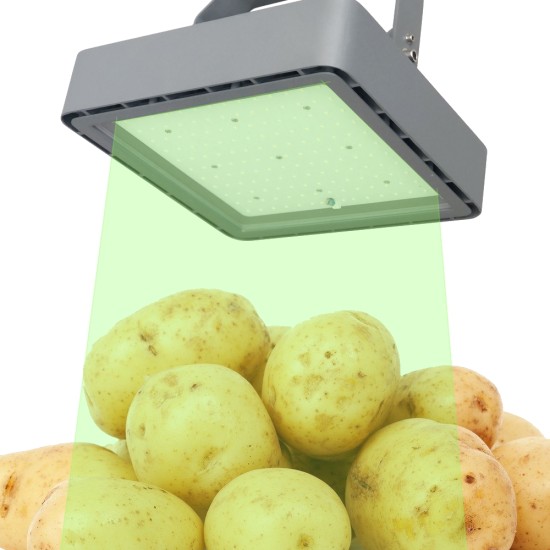 Bioledex GoLeaf X1G LED Leuchte 150W Grün - Kartoffel Lagerung