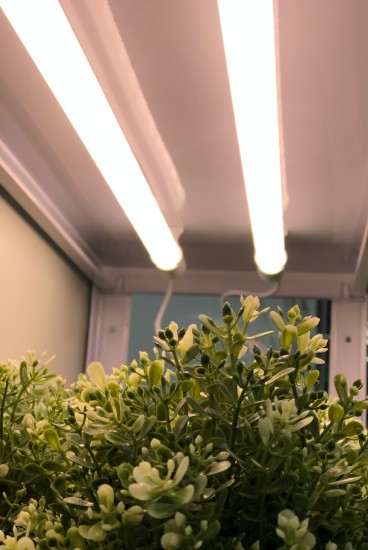 Bioledex GoLeaf LED Pflanzenleuchte TIP65 Komplettset für Regale mit 3 Ebenen