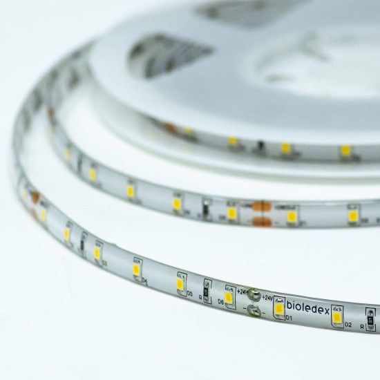 Bioledex LED Streifen 24V 12W/m 60LED/m 3300K IP65 5m Rolle warmweiss LED-Flexleiste