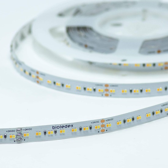 Bioledex LED Streifen 24V 90Ra 19,2W/m 252LED/m 2700-6500K 5m Rolle tunable white SMD Streifen