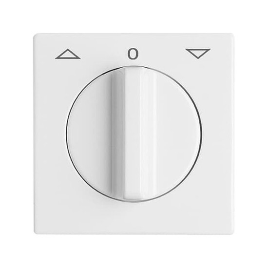 Busch-Jaeger Zentralscheibe mit Drehgriff, mit Aufdruck 2CKA001710A1811 2142 DR-34