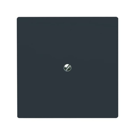 Busch-Jaeger Blindzentralscheibe mit Tragring 2CKA001710A1928 2138-35