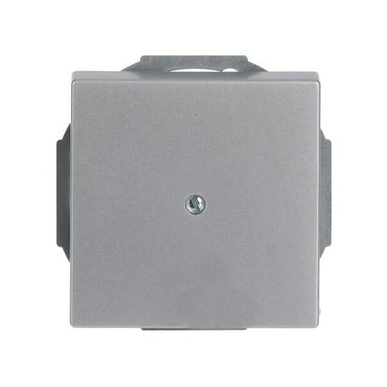 Busch-Jaeger Zentralscheibe mit Leitungsauslass 2CKA001710A3665 1749-83