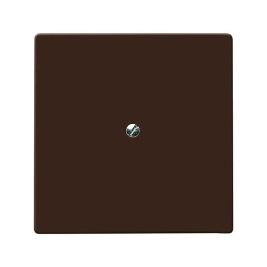 Busch-Jaeger Blindzentralscheibe mit Tragring 2CKA001710A3799 2138-31