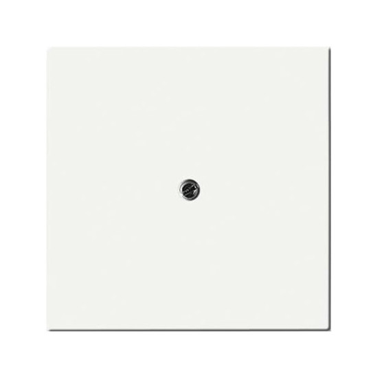 Busch-Jaeger Zentralscheibe 2CKA001710A3874 1745-884