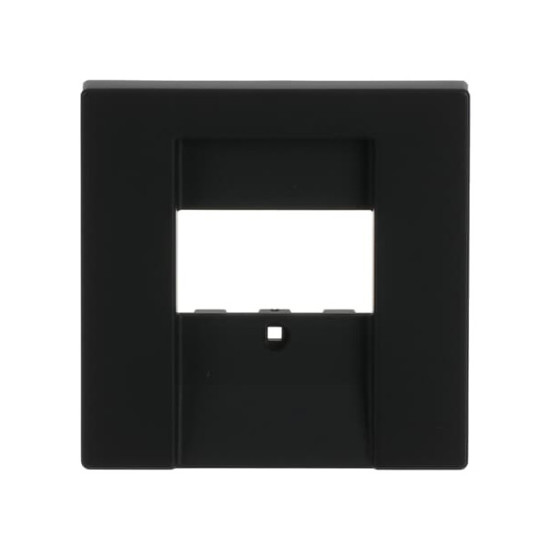 Busch-Jaeger Zentralscheibe 2CKA001710A3903 1766-885