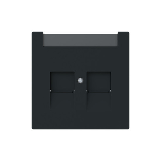 Busch-Jaeger Zentralscheibe 2-fach mit Beschriftungsfeld Modular-Jack mit Öffnungsschieber 2CKA001710A4238 1800-45M