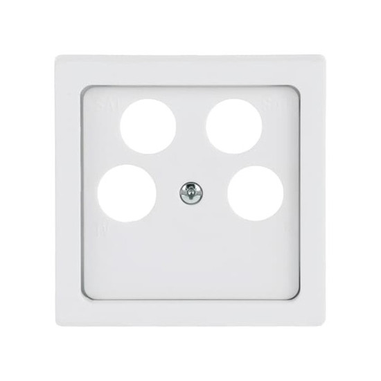 Busch-Jaeger Zentralscheibe 2CKA001724A4370 1743/10-04-884