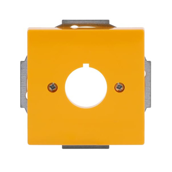 Busch-Jaeger Zentralscheibe mit Tragring 2CKA001724A4382 2533-82-15