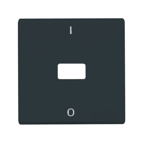 Busch-Jaeger Wippe mit Aufdruck, offen für Symbol 2CKA001731A1692 2108-35