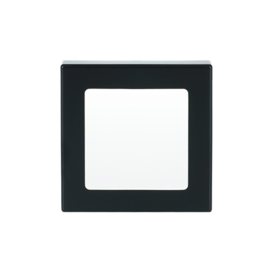 Busch-Jaeger Zentralscheibe Infolicht 2CKA001731A1921 1716-81