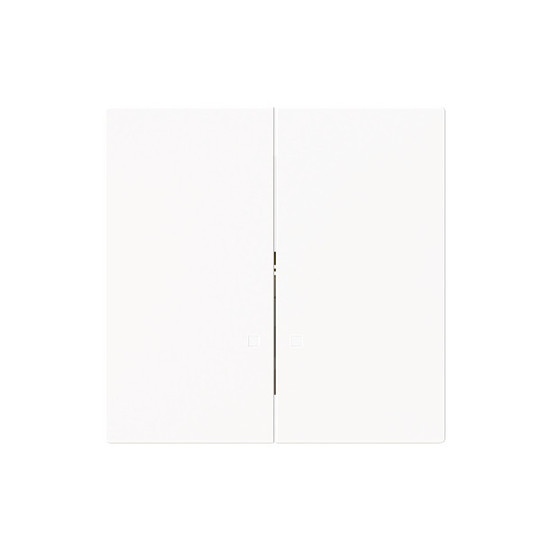 Busch-Jaeger Zentralscheibe mit Aufdruck DO NOT DISTRUB MAKE UP ROOM Zimmereinheit 2CKA001751A3310 1785/11 K-44M