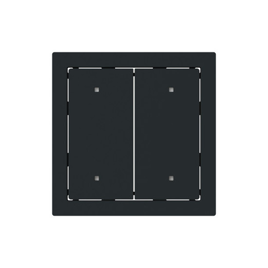 Busch-Jaeger Wippe für Elektroniktaster 2-fach mit transparenten Kalotten Busch-art linear 2CKA001751A3320 2570-20-45M
