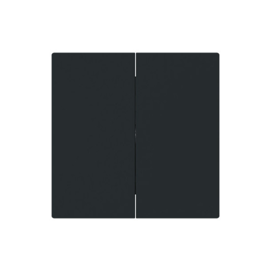 Busch-Jaeger Wippe 2-fach, für Schalter/Taster, zweiteilige Wippe schwarz matt - 2CKA001751A3388 1785-45M