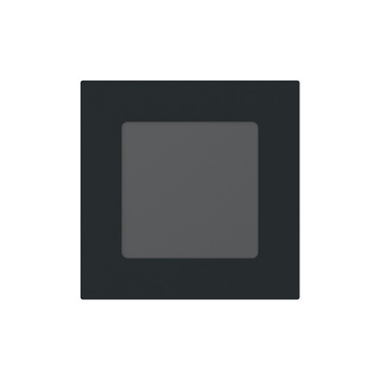 Busch-Jaeger Lichtsignal-Einsatz mit Zentralscheibe Busch-Infolicht LED / weiß schwarz 2CKA001753A0247 1756 U-45M