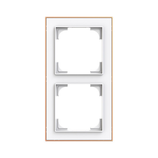 Busch-Jaeger Rahmen 2-fach mit Dekorring Busch-art linear 2CKA001754A4908 1722-441M