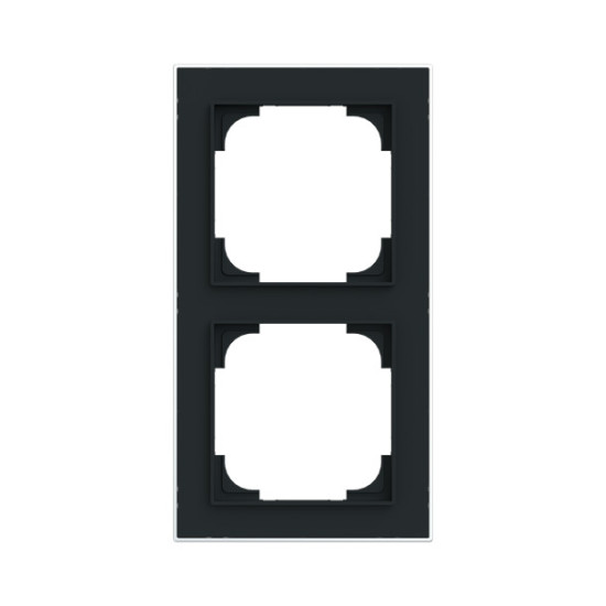 Busch-Jaeger Rahmen 2-fach mit Dekorring Busch-art linear 2CKA001754A4910 1722-456M