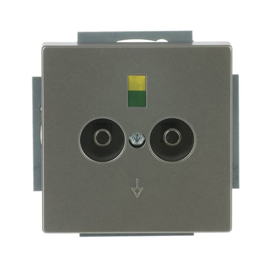 Busch-Jaeger Unterputz-Potenzial-Ausgleichsstecker 2-fach 2CKA002495A0090 2095 UC-866