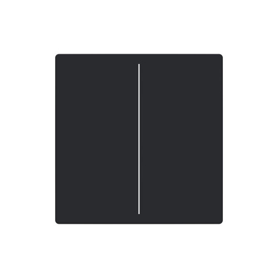 Busch-Jaeger Abdeckung, 2-fach für Keypad Format 63 - solo/future LFW/A.2.63.11-885 2CKA006199A0055 LFW/A.2.63.11-885