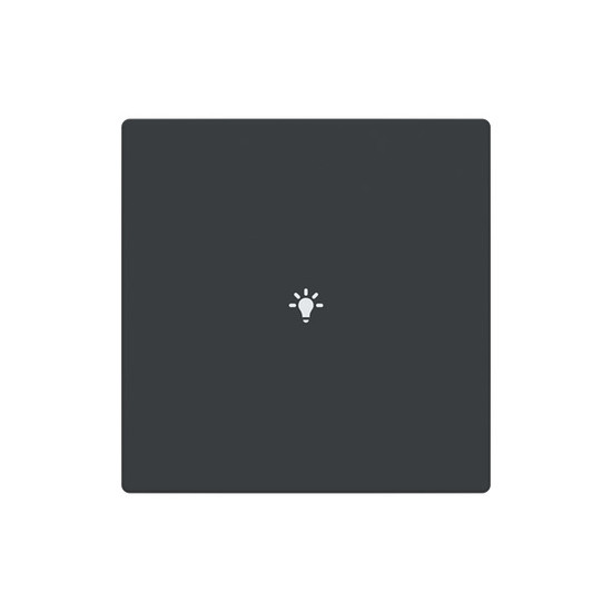 Busch-Jaeger Abdeckung als Taster 1-fach mit Symbol Beleuchtung Format 63 - solo/future 2CKA006199A0074 LFBT/A.1.63.11-81