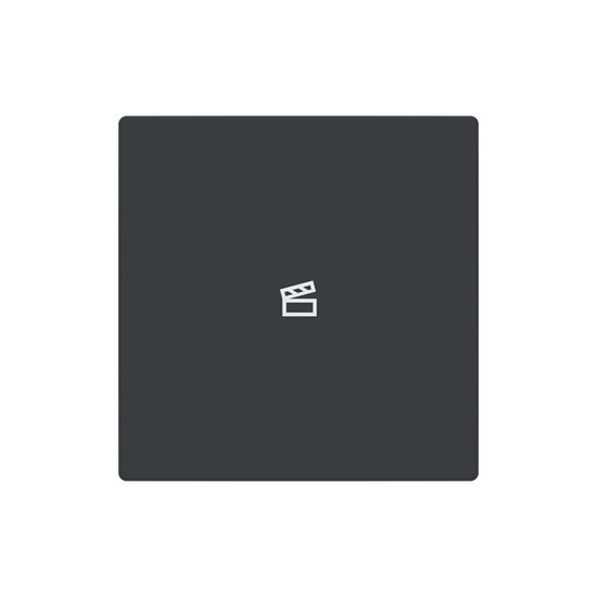 Busch-Jaeger Abdeckung als Taster 1-fach mit Symbol Szene Format 63 - solo/future 2CKA006199A0090 LFST/A.1.63.11-81