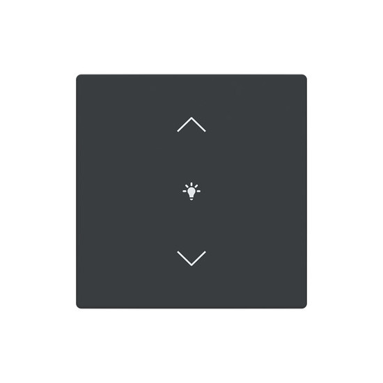 Busch-Jaeger Abdeckung als Wippe 1-fach mit Symbol Dimmen Format 63 - solo/future 2CKA006199A0191 LFDW/A.1.63.11-81