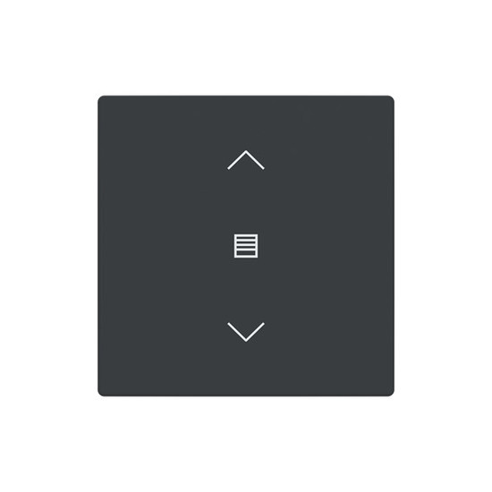 Busch-Jaeger Abdeckung als Wippe 1-fach mit Symbol Dimmen Format 63 - solo/future 2CKA006199A0199 LFJW/A.1.63.11-81