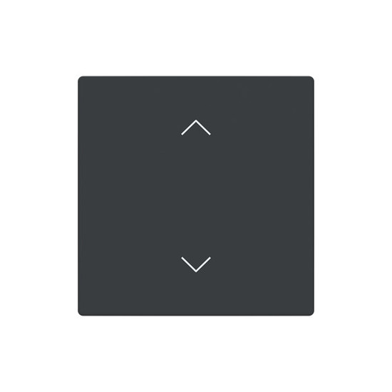 Busch-Jaeger Abdeckung als Wippe 1-fach mit Symbol Auf/Ab Format 63 - solo/future 2CKA006199A0207 LFAW/A.1.63.11-81