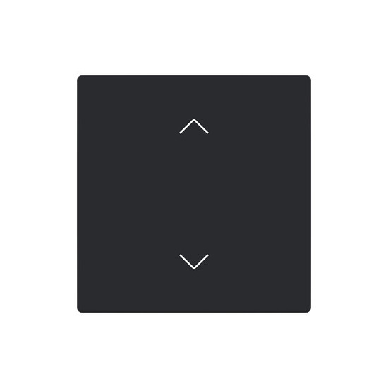 Busch-Jaeger Abdeckung als Wippe 1-fach mit Symbol Auf/Ab Format 63 - solo/future 2CKA006199A0212 LFAW/A.1.63.11-885