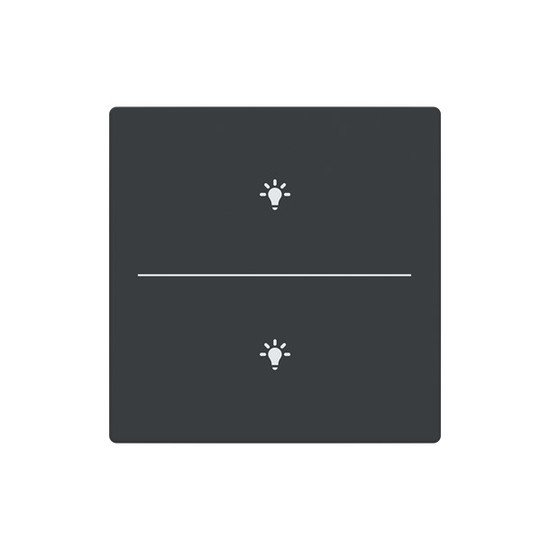 Busch-Jaeger Abdeckung als Taster 2-fach mit Symbol Beleuchtung Format 63 - solo/future 2CKA006199A0215 LFBT/A.2.63.11-81