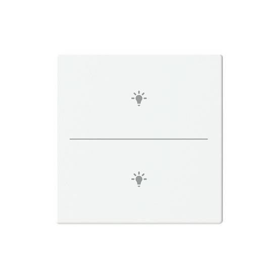 Busch-Jaeger Abdeckung als Taster 2-fach mit Symbol Beleuchtung Format 63 - solo/future 2CKA006199A0219 LFBT/A.2.63.11-884