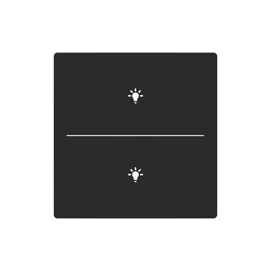 Busch-Jaeger Abdeckung als Taster 2-fach mit Symbol Beleuchtung Format 63 - solo/future 2CKA006199A0220 LFBT/A.2.63.11-885