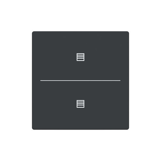 Busch-Jaeger Abdeckung als Taster 2-fach mit Symbol Jalousie Format 63 - solo/future 2CKA006199A0223 LFJT/A.2.63.11-81