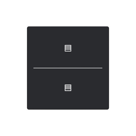 Busch-Jaeger Abdeckung als Taster 2-fach mit Symbol Jalousie Format 63 - solo/future 2CKA006199A0228 LFJT/A.2.63.11-885