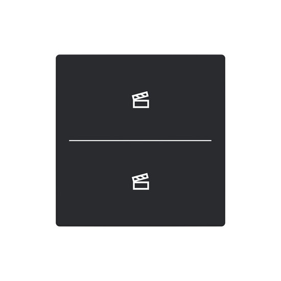 Busch-Jaeger Abdeckung als Taster 2-fach mit Symbol Szene Format 63 - solo/future 2CKA006199A0236 LFST/A.2.63.11-885