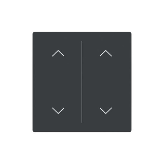 Busch-Jaeger Abdeckung als Wippe 2-fach mit Symbol Auf/Ab Format 63 - solo/future 2CKA006199A0247 LFAW/A.2.63.11-81