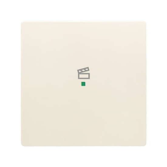 Busch-Jaeger Wippe 1-fach, mit Symbol Szene 2CKA006220A0399 6233-10-82