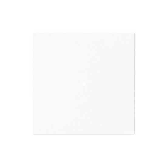 Busch-Jaeger Wippe 1-fach, ohne Bedruckung studioweiß matt - Busch-art linear 2CKA006220A0925 6230-10-44M