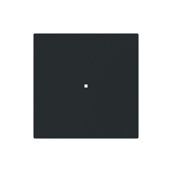 Busch-Jaeger Wippe 1-fach, ohne Bedruckung schwarz matt - Busch-art linear 2CKA006220A0927 6230-10-45M