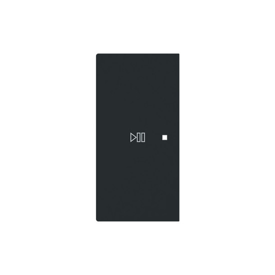 Busch-Jaeger Wippe 2-fach links mit Symbol Play/Pause schwarz matt Busch-art linear 2CKA006220A0979 6237-21-45M