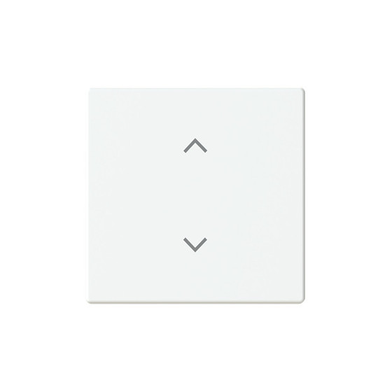 Busch-Jaeger Wippe 1-fach, mit Symbol Jalousie Format 63 2CKA006220A0991 6735-11-884