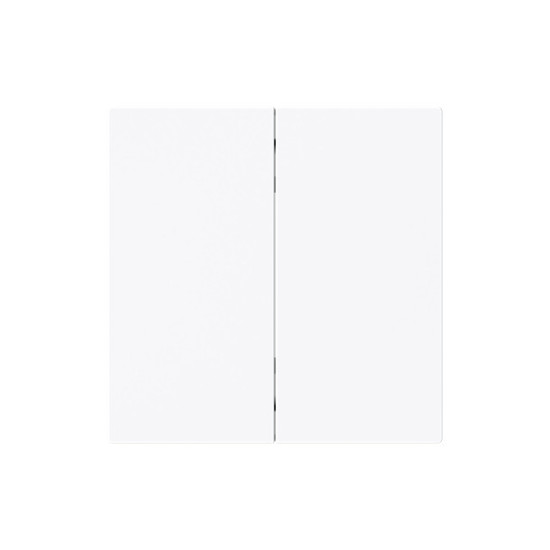 Busch-Jaeger Wippe 2-fach Smart Switch 2CKA006730A0166 6736 FoH-44G