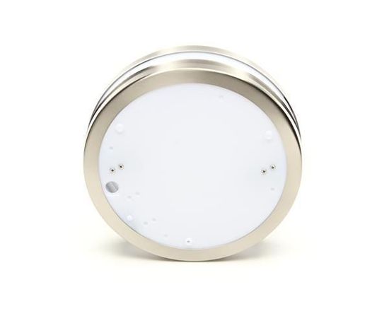 Deko-Light Wandaufbauleuchte Scuti II, E27, 2x max. 11W, Edelstahl, silber, IP44 731053