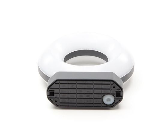 Deko-Light Wandaufbauleuchte Muscae, Warmweiß, Dunkelgrau, IP54 731081