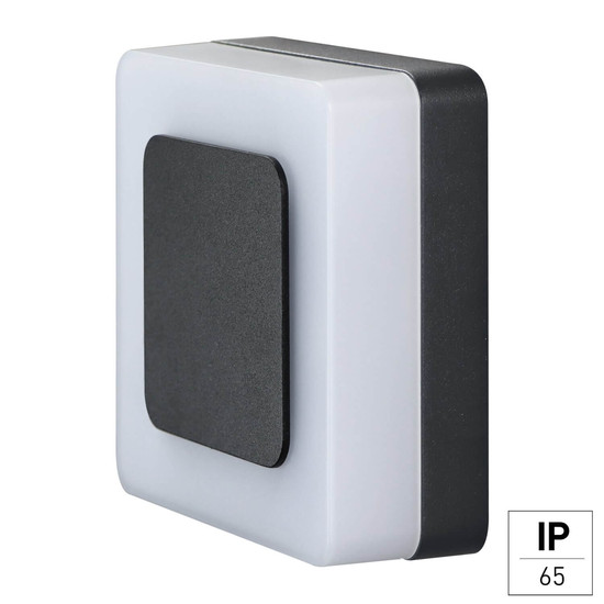 e2 LED Außenwandleuchte Castor 10W neutralweiss 4000K IP65 Anthrazit Aluminium 13,5x13,5cm