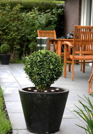 Eglo 900117 SPINETOLI 2 LED Außen-Stehleuchte 6x0,4W 6900x30mm Transparent Timer Warmweiss IP65