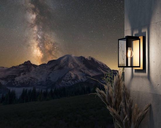 Eglo 900289 BUDRONE E27 Außen-Wand-/Deckenleuchte Schwarz Braun IP44 9008606231591